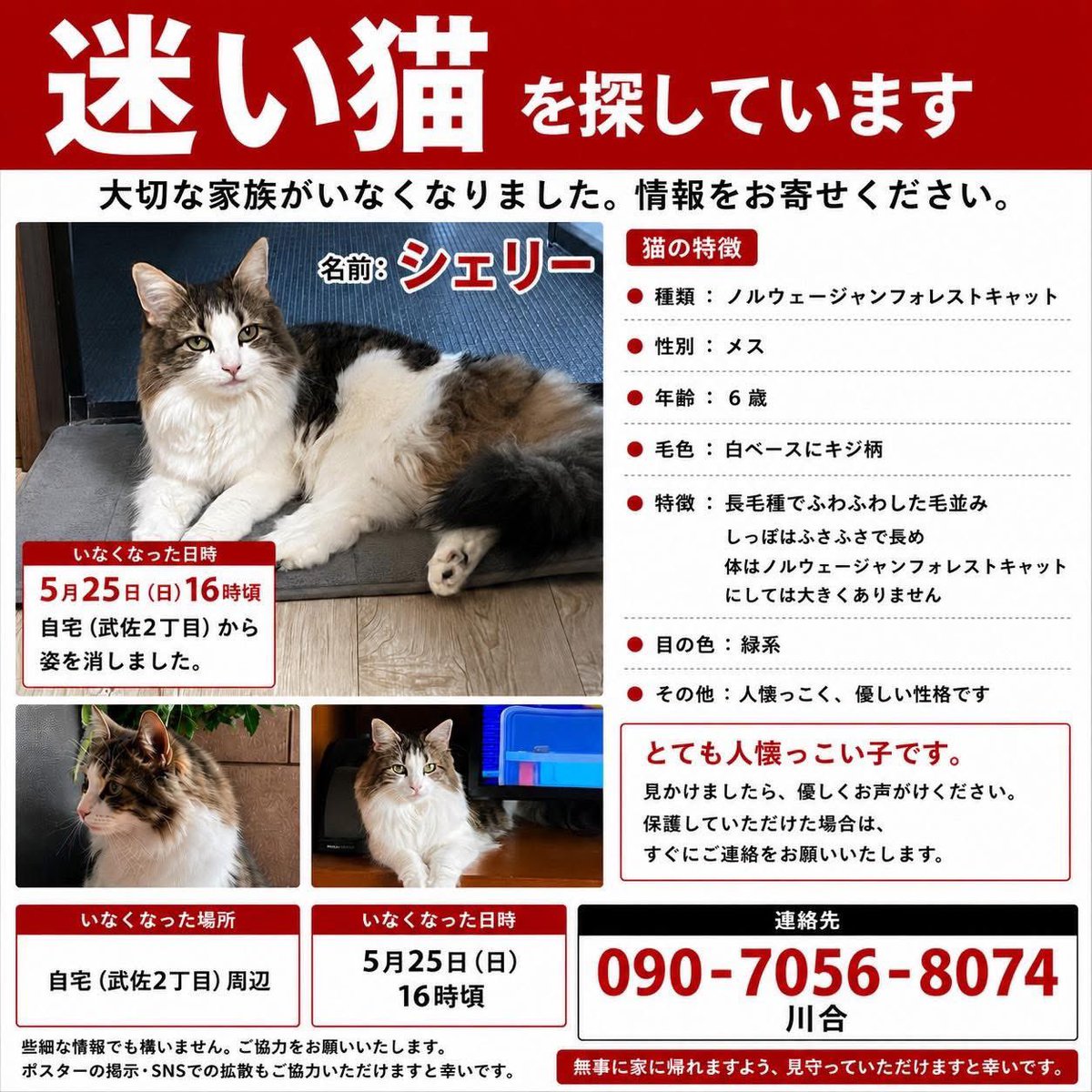 諸我敦子 やすらぎ 釧路 tweet media