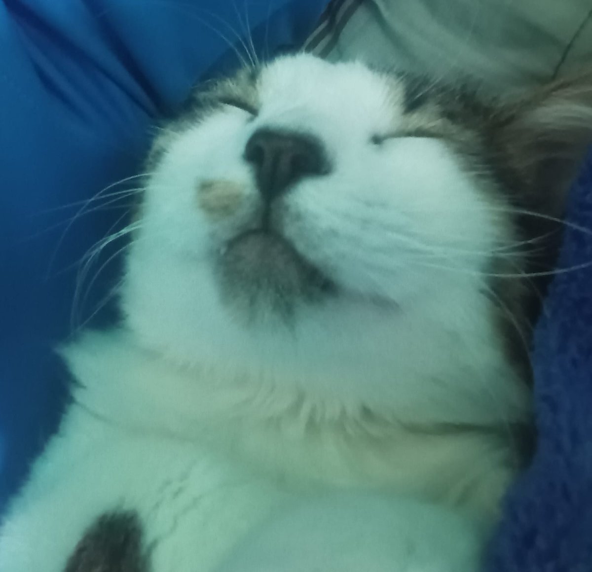 Minky tweet media