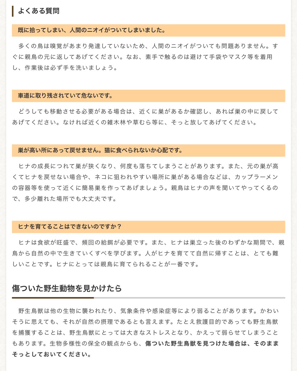 まてぃく tweet media