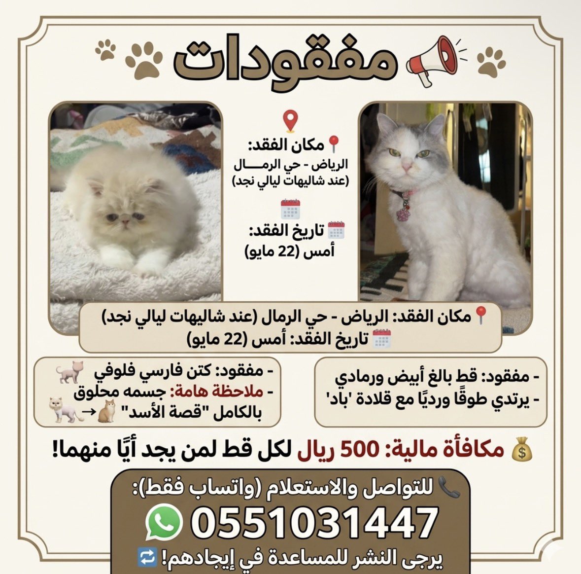 ll_dd0's tweet photo. @resqueingcats https://t.co/MY7y9YDJuu