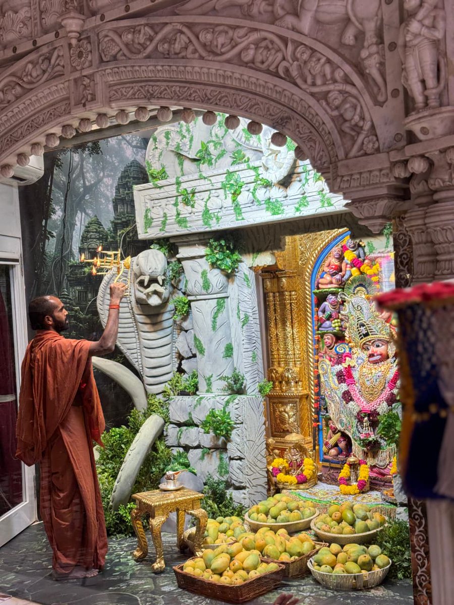 Shri Hanuman Temple - Salangpur tweet media