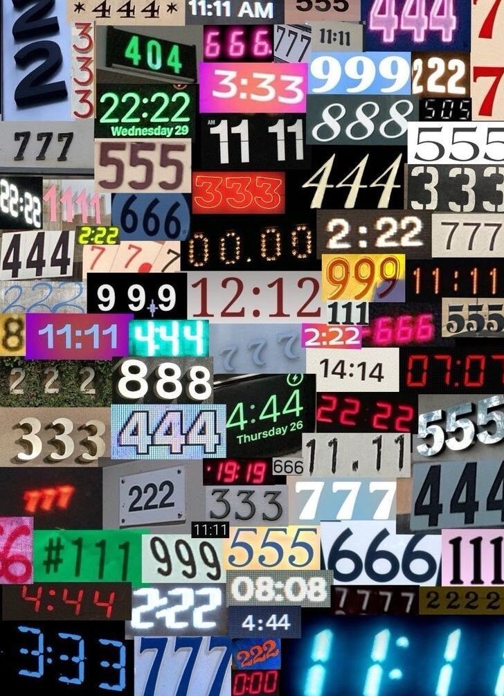 CC ⚞^. .^⚟ tweet media