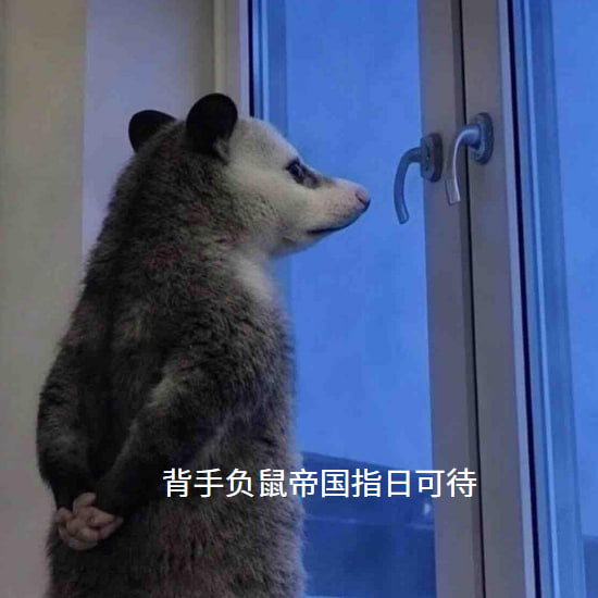 CP_cyberpunk's tweet photo. 在南方废弃城市的下水道里，第一只“背手负鼠”出现了。

没人知道“背手病毒”从哪里来。感染后的生物都会下意识把双手背到身后，眼神呆滞，却异常冷静。最开始只是几只流浪负鼠，后来是猫、狗，再后来——是人。

病毒不会让人疯狂，反而会让人“服从”。

他们开始自发聚集，夜晚整齐地站在街头，像在等待某种命令。有人试图反抗，却发现感染者之间拥有诡异的默契，甚至能共享信息。

三个月后，城市断电。

半年后，所有幸存者都听见了那句广播：

“背手者，不再恐惧。”

而在城市最高的大楼顶端，一只体型巨大的负鼠缓缓站起，双手背后，披着破旧王袍。

背手负鼠帝国，正式建立。

0x5f6fd60ad6cd8751b4c521bc00fa02abfeca4444