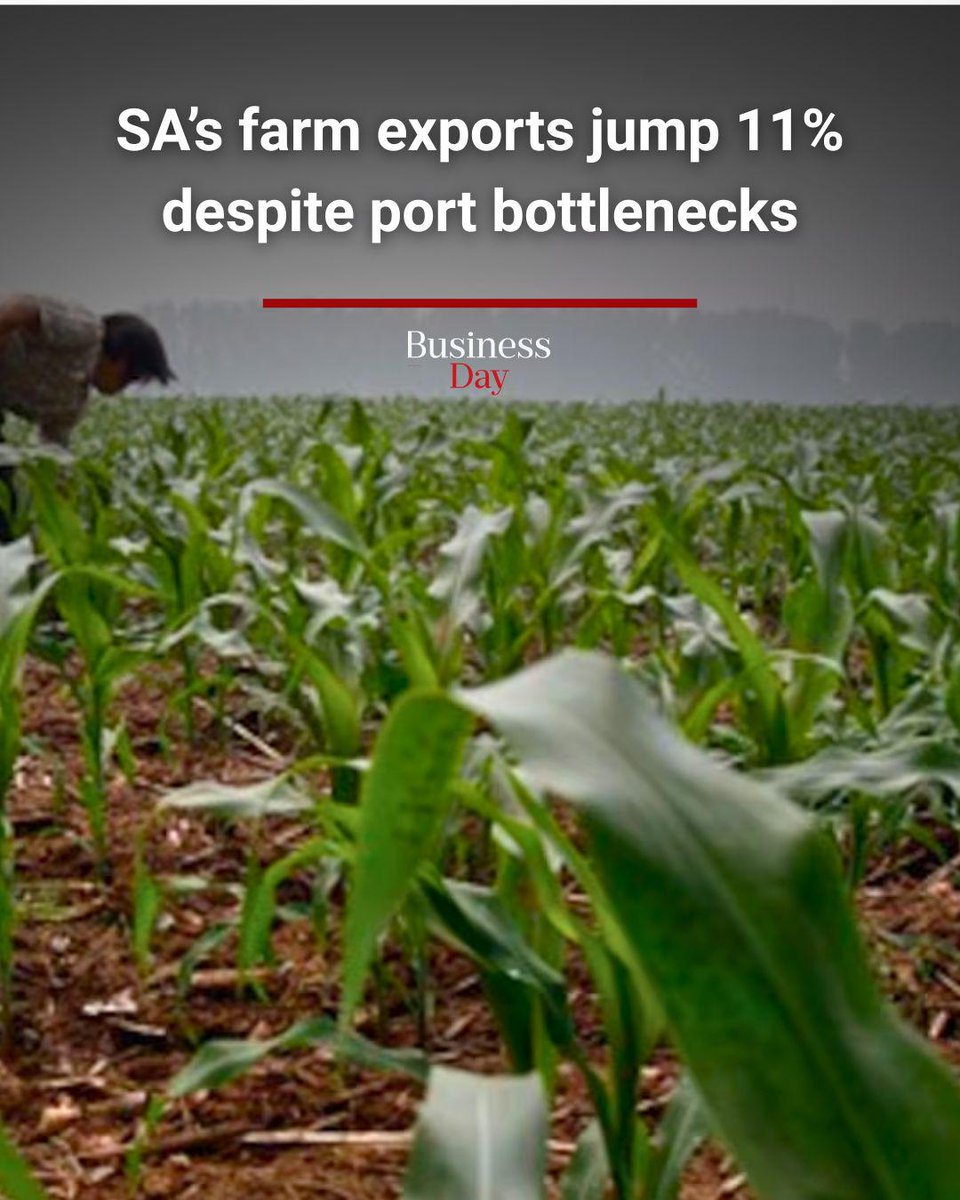 Business Day tweet media