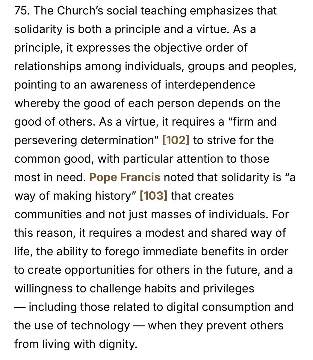 moanerleaser's tweet photo. Pope Leo XIV said: Boycott, Disinvest, and Sanction! 

Ah!❤️ https://t.co/QqozktPV8w