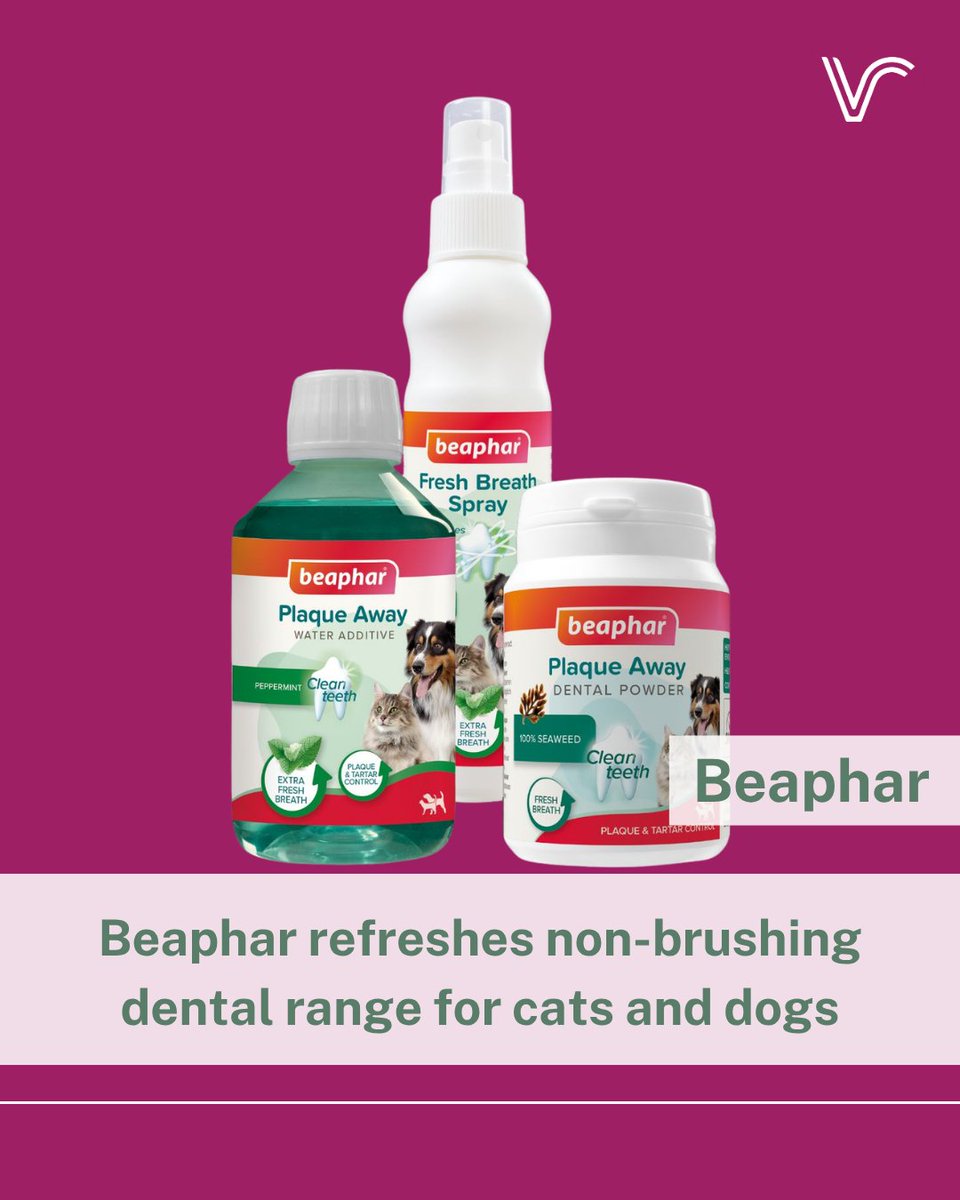 vetreport's tweet photo. Beaphar has relaunched its non-brushing dental range for cats and dogs with new formulas and updated packaging. 
 
Learn more:   https://t.co/nc8gtGyAL6 https://t.co/9XsIRHPV1H
