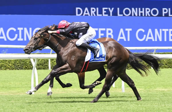 breednet's tweet photo. Fairytale result for the owners of Zousain SW Bellazaine - 160k Inglis Classic purchase sells today for 900k https://t.co/kDzwsF40F0 @widdenstud @mmsnippets @NewgateFarm @GaiWaterhouse1 @bruceaslade https://t.co/YPrGuSaGn0