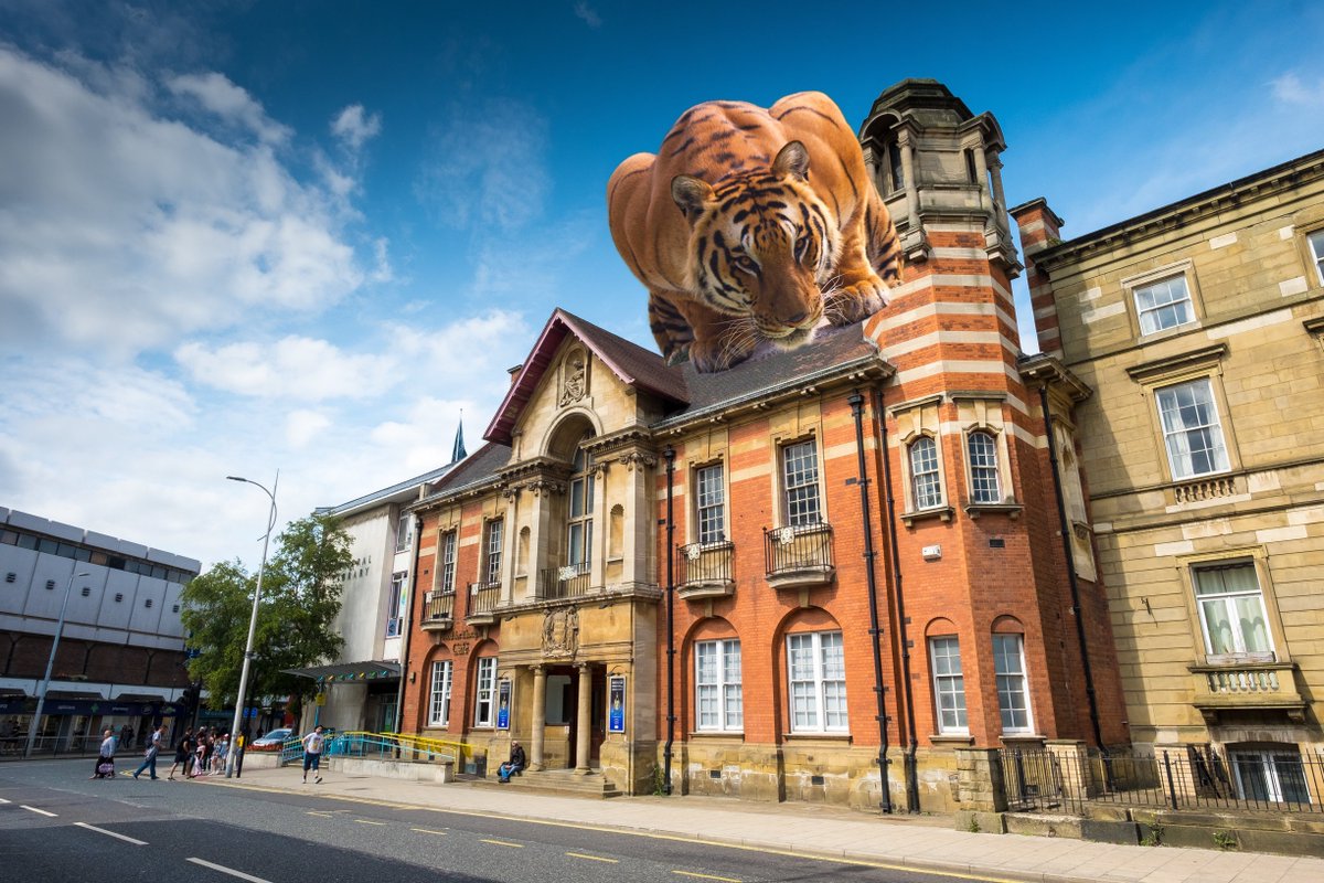 Hull Libraries tweet media