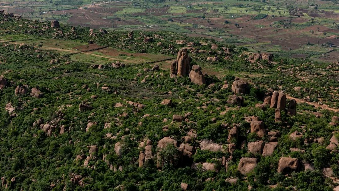 Korme98's tweet photo. 📍 Baabili, Gobolka Faafan,Somali Region 

📸SRTV https://t.co/7ZUAKPJYgj