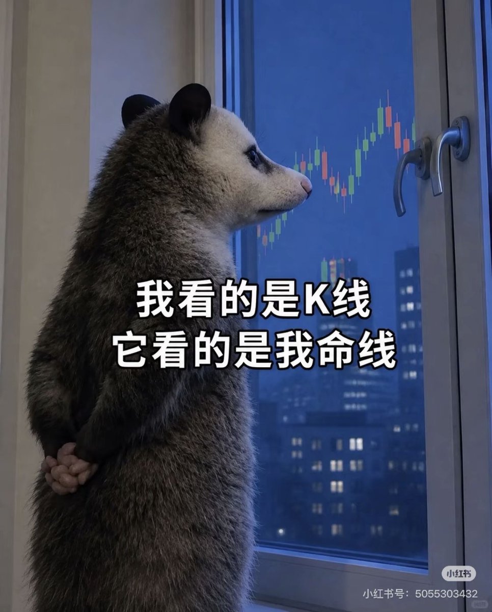 李大锤 tweet media