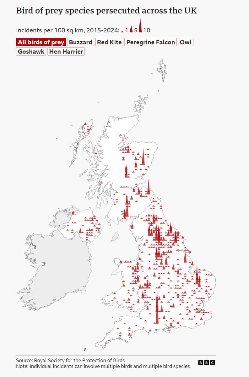 Raptor Persecution UK tweet media