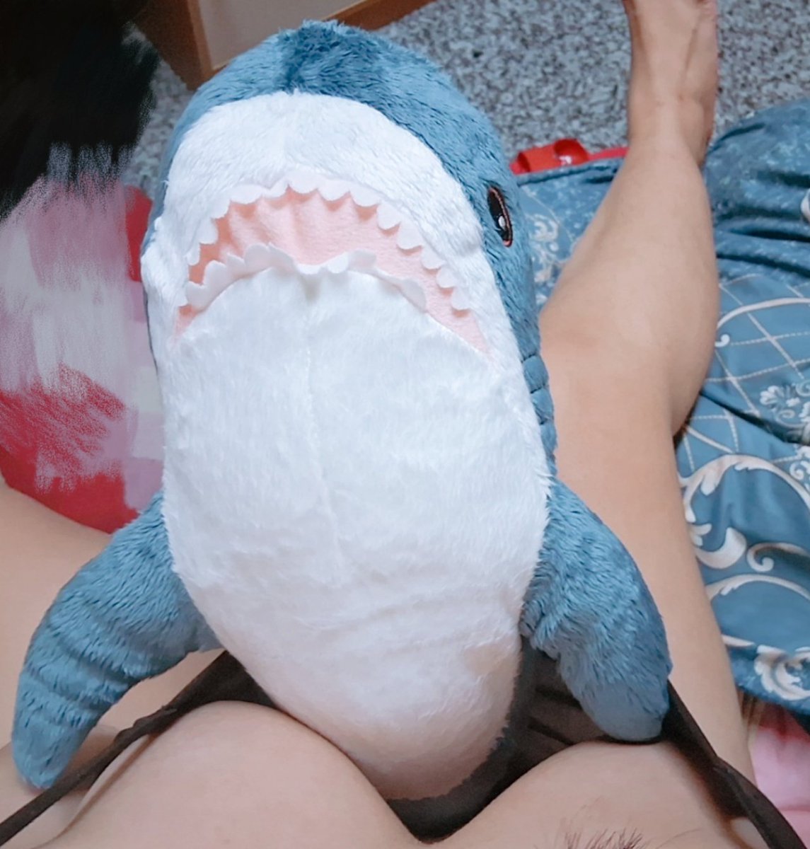 Dp05102's tweet photo. IKEA鲨鲨🦈这样抱舒服 https://t.co/qBy8n6AhgY