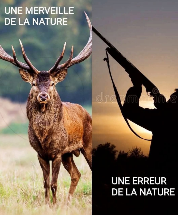 Lin_Anderson_95's tweet photo. Qu'en pensez-vous? https://t.co/JHFJvUoUMp
