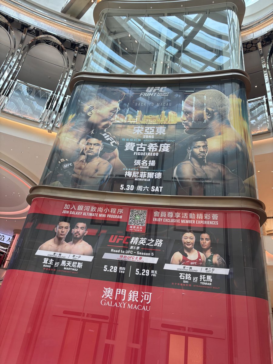 MMA&BJJ BLOWS Osaka tweet media