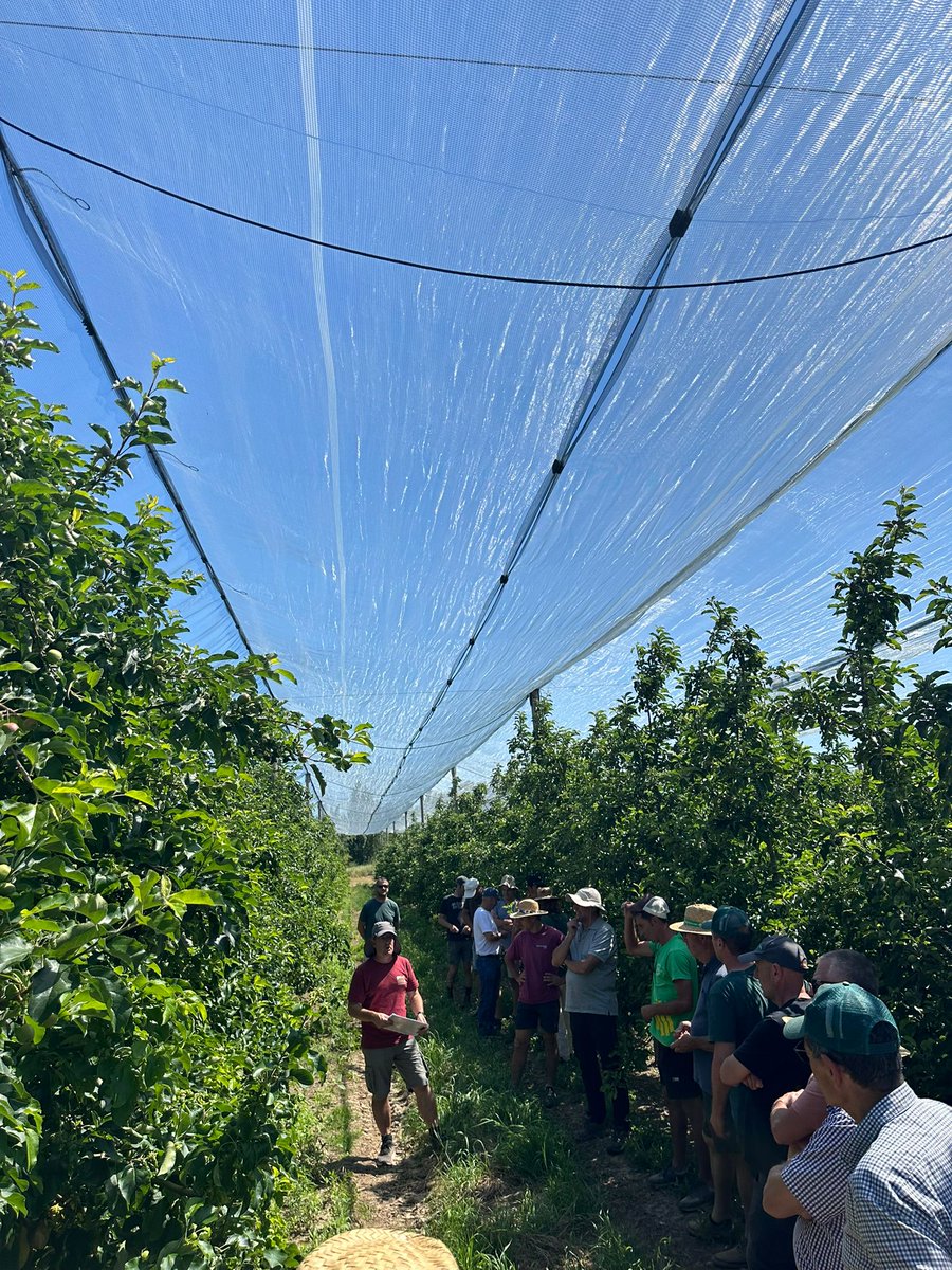 Giropoma's tweet photo. 🍎🍏Ahir vam celebrar una reunió tècnica amb els nostres socis - productors per començar a encarar la campanya d’aquest any. 

Una jornada de treball que ens va permetre visitar diferents finques i conèixer de primera mà l’estat dels cultius i els reptes d’aquesta nova temporada. https://t.co/8NweYtHLTS
