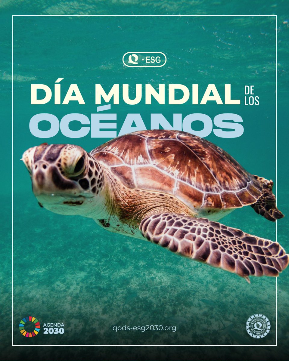 QSOSTENIBLE's tweet photo. 🌊 Los océanos no están lejos: regulan el clima, sostienen biodiversidad y son clave para la economía global.

Pero la contaminación y una producción poco responsable siguen poniendo en riesgo su equilibrio.

♻️ Cuidarlos también es hablar de sostenibilidad y futuro.

#ODS https://t.co/Isw4h4w2Xc