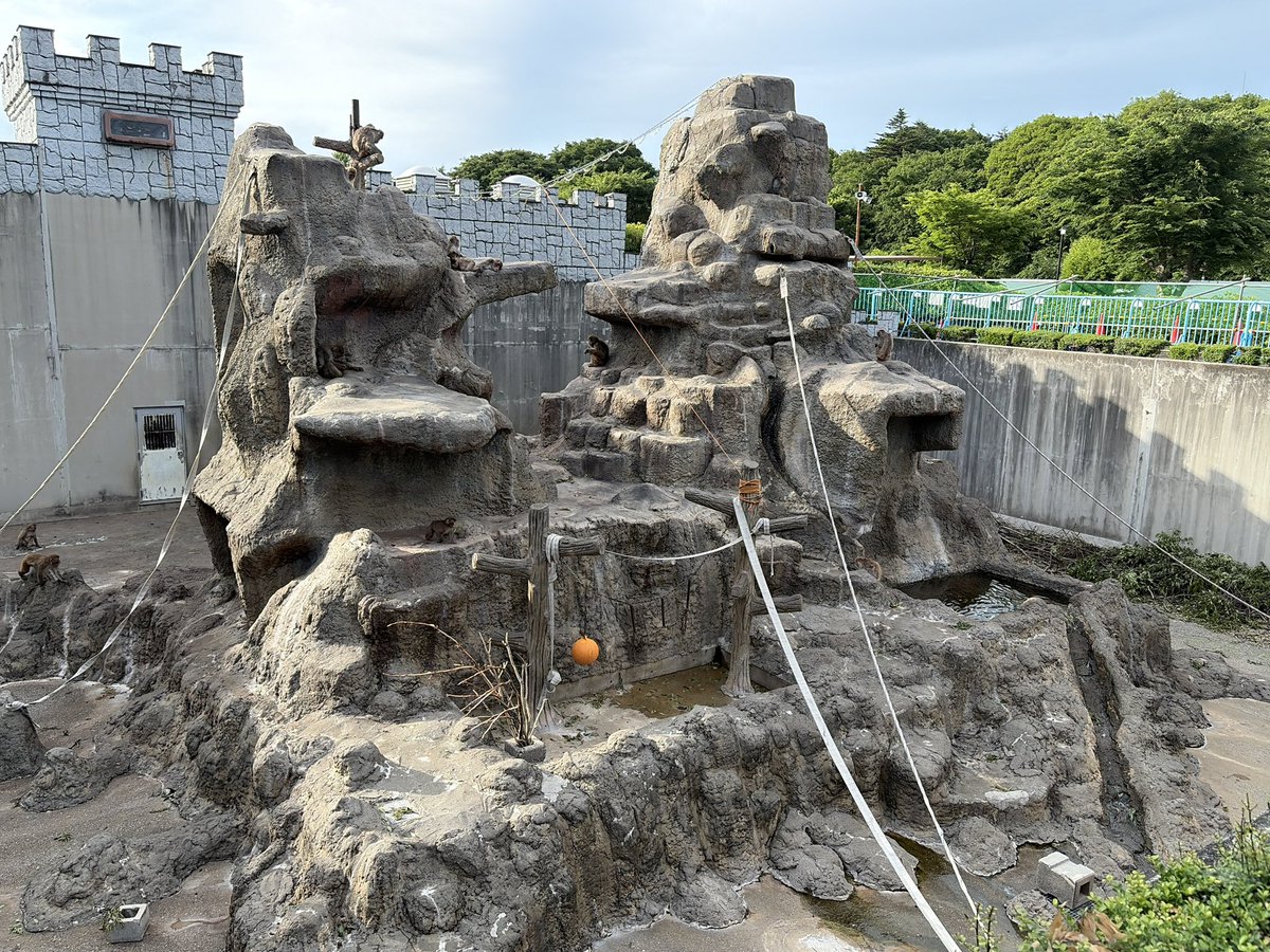 市川市動植物園(公式) tweet media