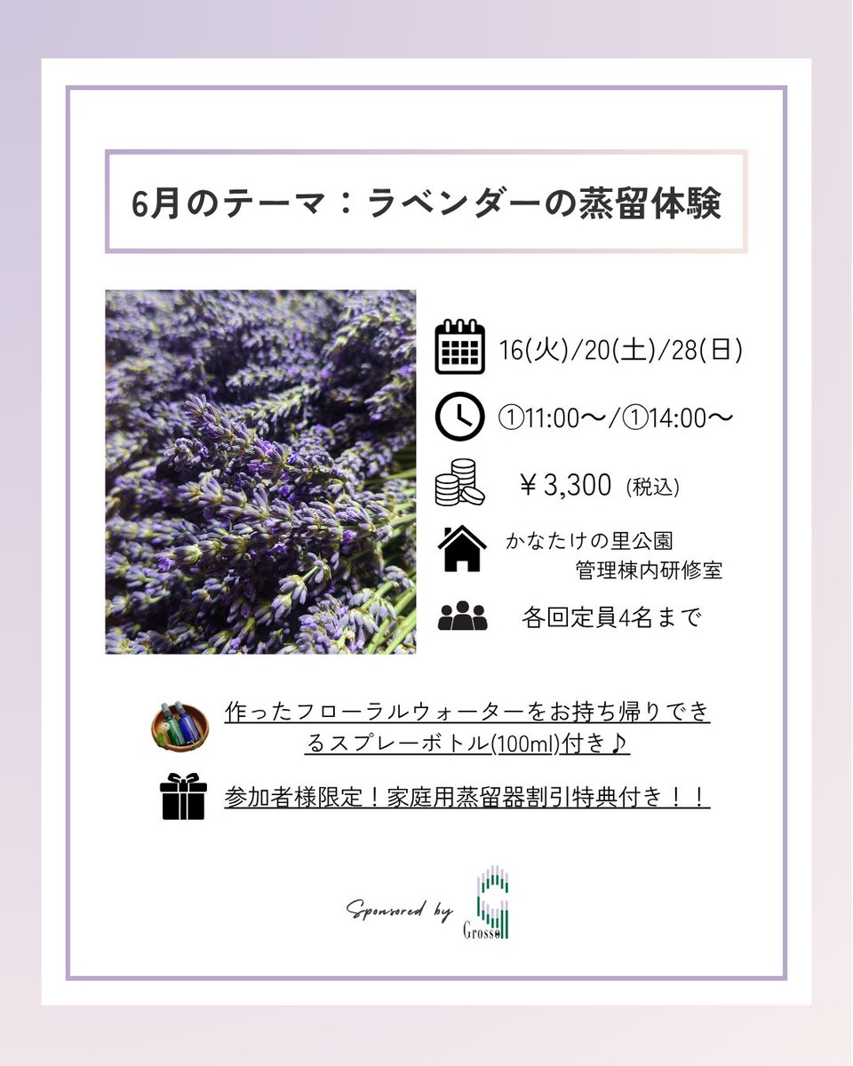 Grosso_KHerb's tweet photo. #ワークショップ・講座情報
#かなたけの里公園里の教室

ラベンダーフェス企画第三弾「里の教室」はラベンダーの蒸留体験です🪻
ラベンダーの香りに包まれながら、
癒しの時間を一緒に楽しみませんか？

📷詳細・ご予約はこちら📷https://t.co/HnLelFWeR0

#福岡市のハーブ苗屋さん https://t.co/l3LQObD2D1