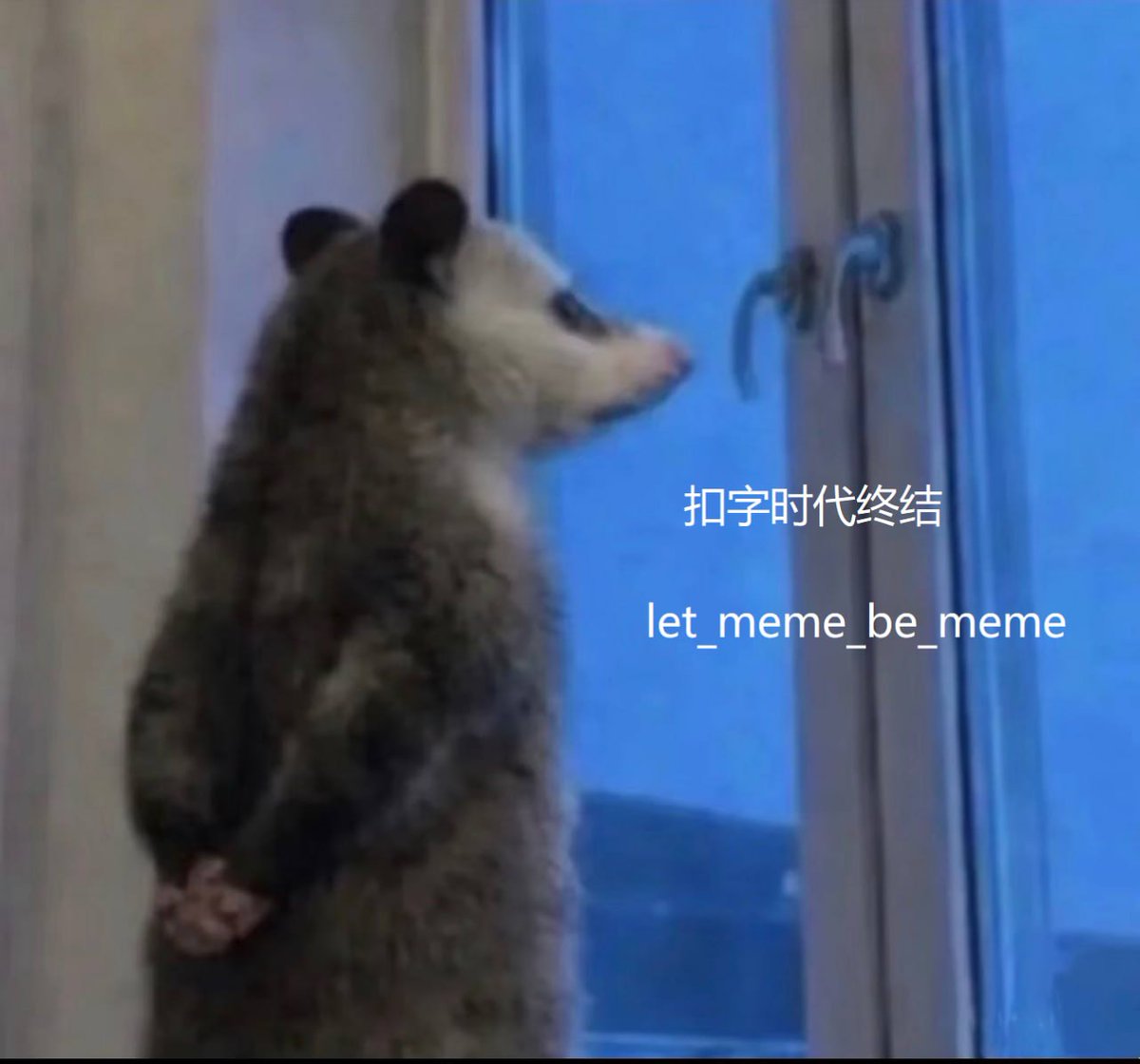 李大锤 tweet media