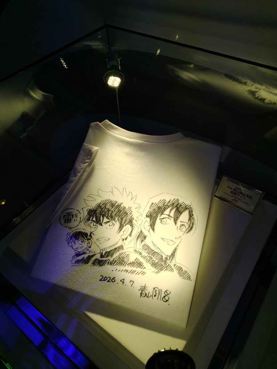 サメ子 tweet media