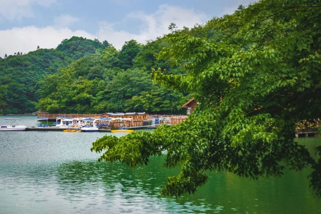 InZunyi's tweet photo. Looking for the ultimate way to beat the summer heat? Jiudaoshui National Forest Park, tucked away in Zunyi's Zheng'an county, is a hidden paradise with 90 percent forest cover! https://t.co/XOvYChJwkn