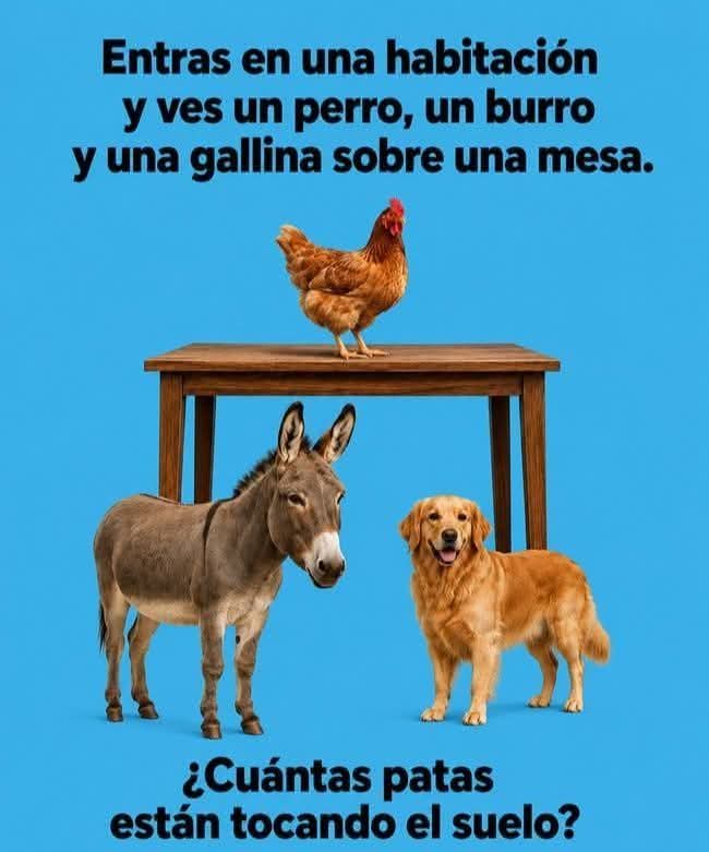 Cayo Marius tweet media