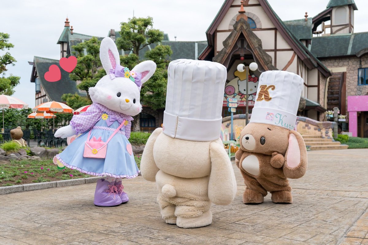 かるは🐰 tweet media