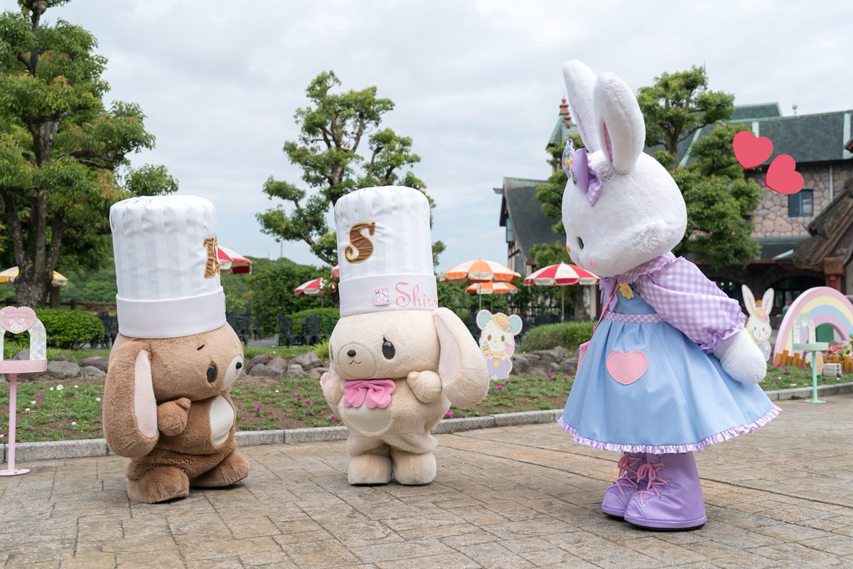 かるは🐰 tweet media
