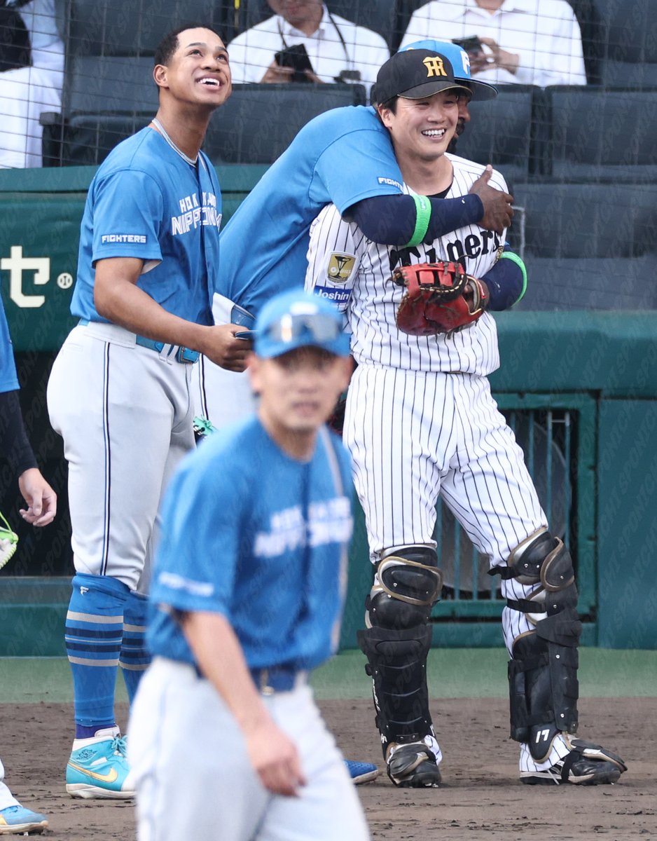 スポニチTIGERSフォト tweet media