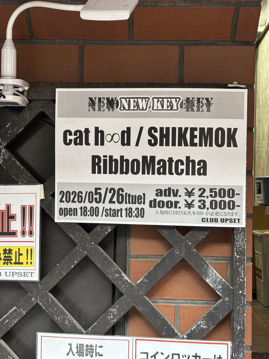 niketomekemeke's tweet photo. 今日ここ👇
#Cathood #SHIKEMOKU #RibbonMatcha https://t.co/ETtBYOQjNP