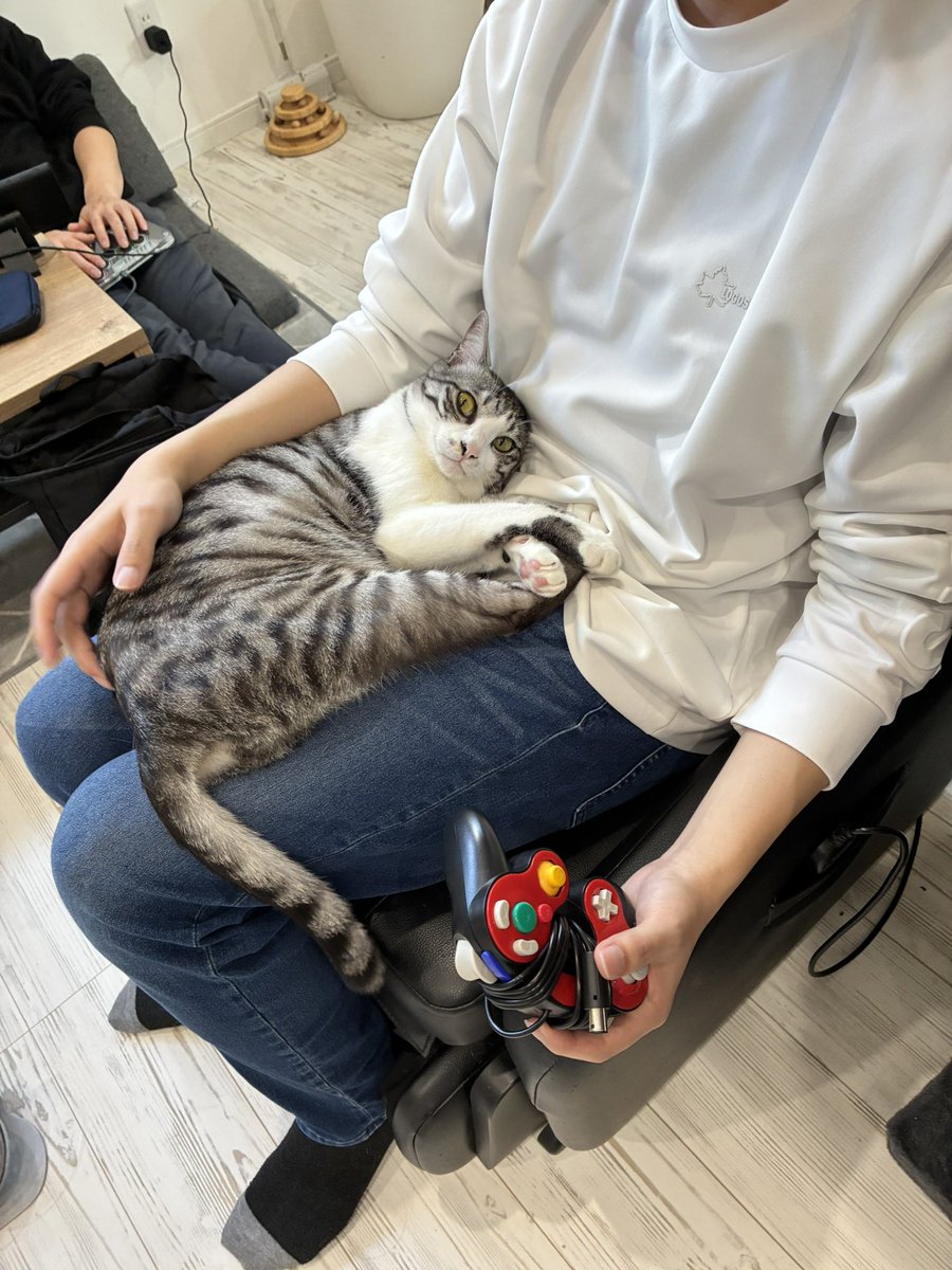 Cat_SSB's tweet photo. 【猫カフェでスマブラ大会やろうぜ】

第3回ニャンスマSP
参加者募集開始

2026/7/18開催
会場　京都府福知山市@Cat_stin  
参加費　基本無料
参加定員　32人

参加希望の人はお手数ですがまず初めにDM等で直接連絡いただき、その後↓のサイトから参加申請お願いします🐈

https://t.co/7kb6JWvOCS https://t.co/4oFlqgQzcD