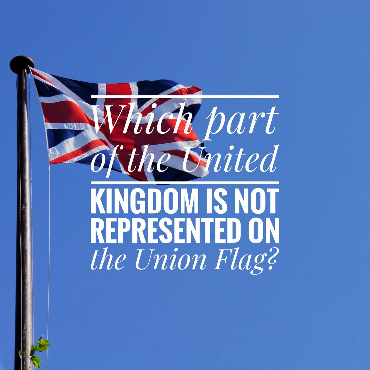 QuizOfTheDay tweet media