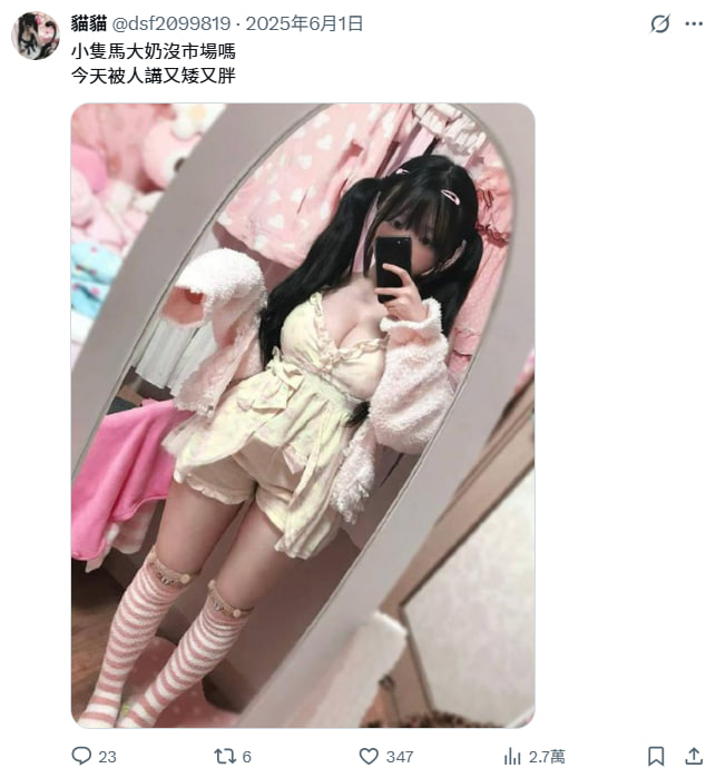貓貓 tweet media