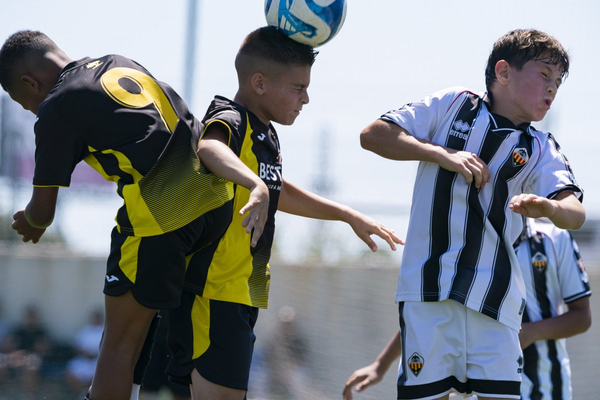 cdroda's tweet photo. GALERÍA 📸 | ALEVÍN F - Promesas Castalia

Consulta las mejores imágenes aquí 👉 https://t.co/wr1kAJ62T7

#CDRoda #SomRoda https://t.co/CbLr2MIjH3