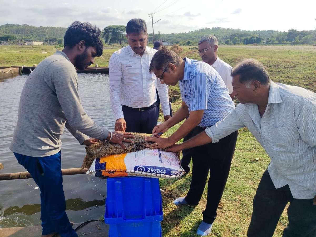 DOFGOK's tweet photo. ದಿನಾಂಕ: 25/05/2026 ರಂದು ಶಿವಮೊಗ್ಗ ಜಿಲ್ಲೆಯ ಬಿಆರ್ ಪ್ರಾಜೆಕ್ಟ್ ನ ಬಂದ್ ಬ್ರೀಡಿಂಗ್ ಮೀನುಮರಿ ಉತ್ಪಾದನಾ ಕೇಂದ್ರದಲ್ಲಿ 2026-27 ನೇ ಸಾಲಿನ ಭಾರತೀಯ ದೊಡ್ಡ ಗೆಂಡೆ ಮೀನುಗಳ ಸಂತಾನೋತ್ಪತ್ತಿ ಋತುವನ್ನು ಶ್ರೀ ಷಡಕ್ಷರಿ ಜಿ.ಎಸ್., ಮೀನುಗಾರಿಕೆ ಜಂಟಿ ನಿರ್ದೇಶಕರು, ಶಿವಮೊಗ್ಗ ವಲಯ ಮತ್ತು (1/2) https://t.co/4KxB9sWYZk