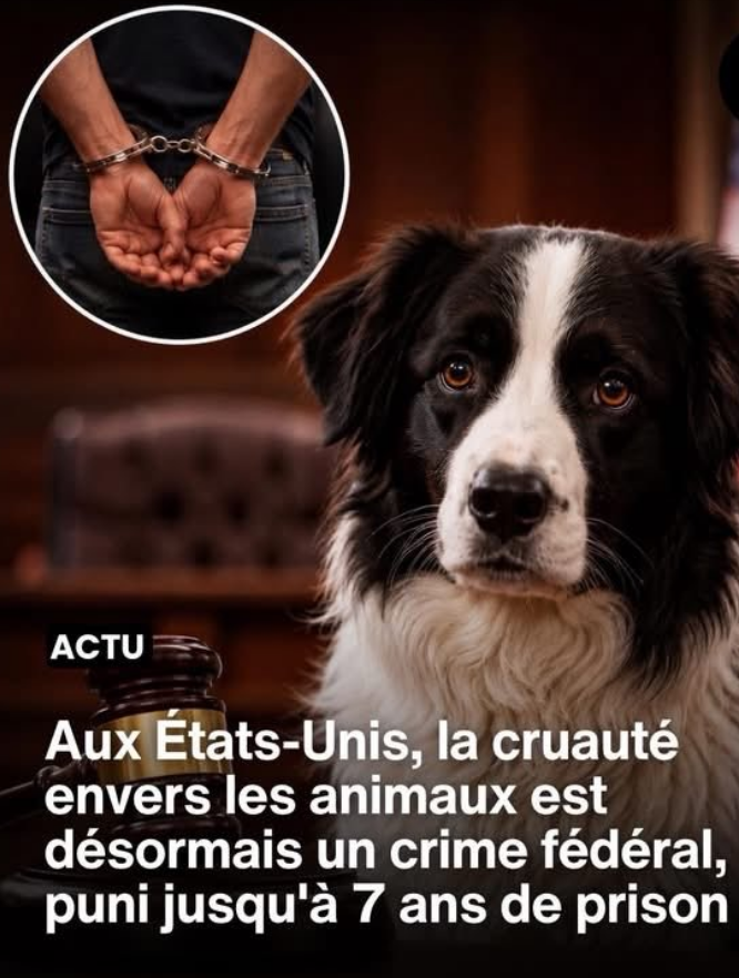 Amanda 🇫🇷 tweet media