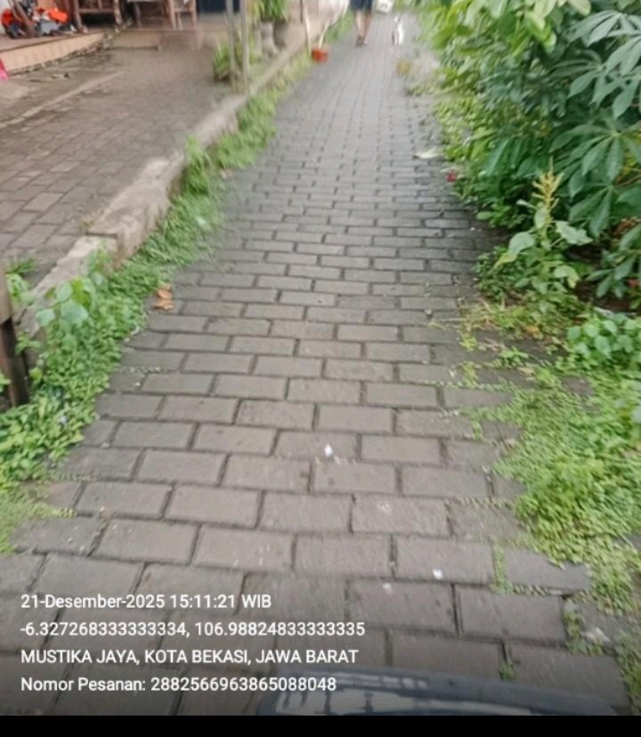 🕊️ tweet media