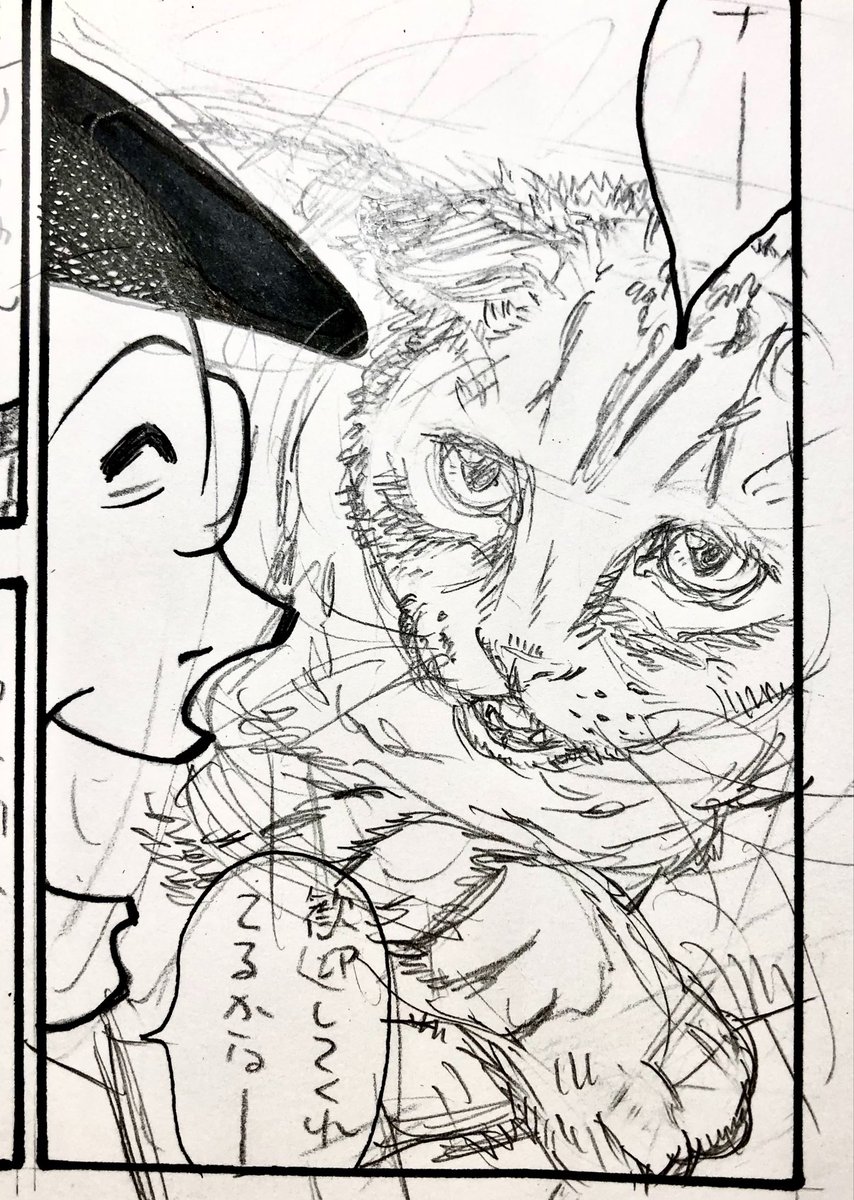 kijincalo's tweet photo. 下書き。
（井上眞改せんせいに送ってOKもらったらペン入れします）

ビックリ顔&amp;しょんぼり顔してるのがかわいい茶虎スコティッシュのシエルさんを描かせていただきました。 https://t.co/iXSlksHNHj