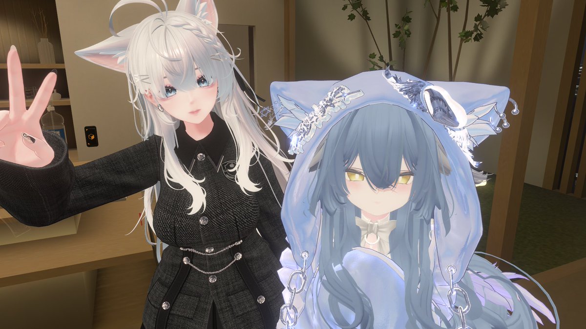 眠猫🐈⬛💤 tweet media