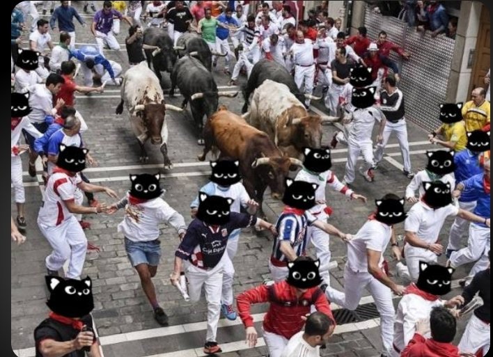 TheYoutubeCat's tweet photo. Ready for the bull run https://t.co/3xXKEhF5jS
