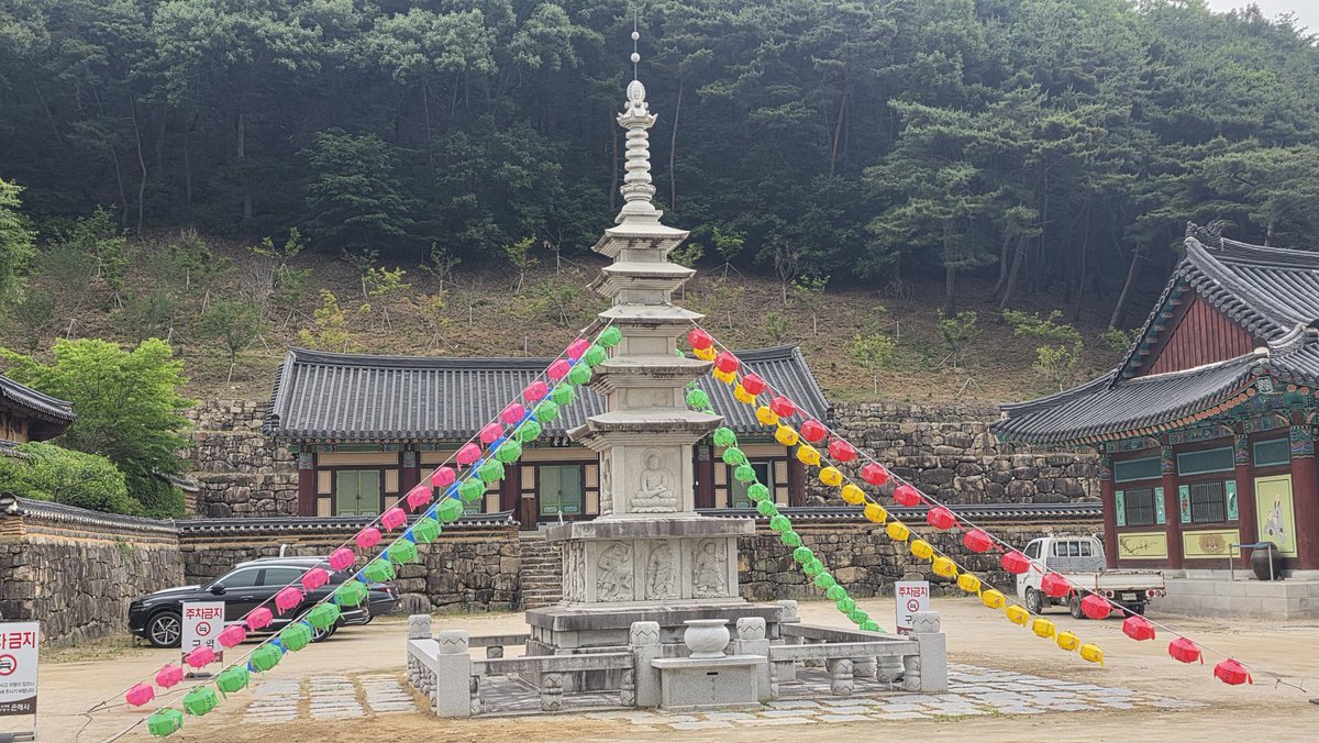 김테노 tweet media