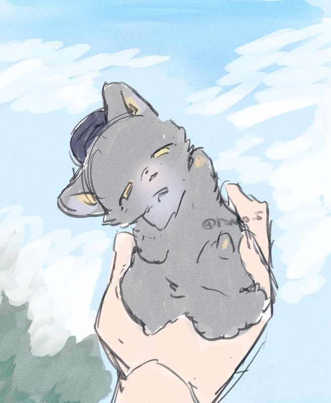 커미션 여끼 / 回歸🔞 tweet media