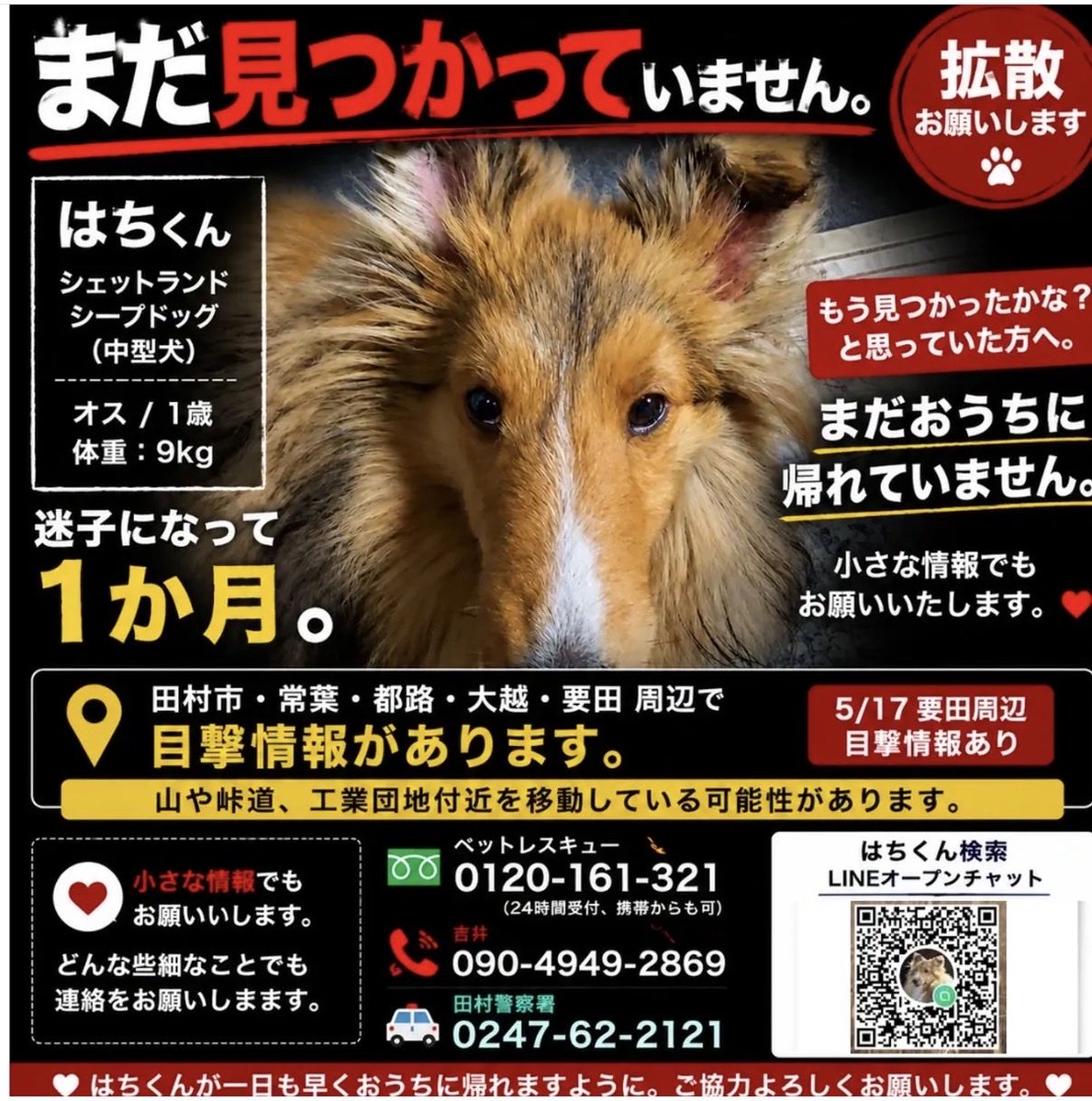 リー・ロン tweet media