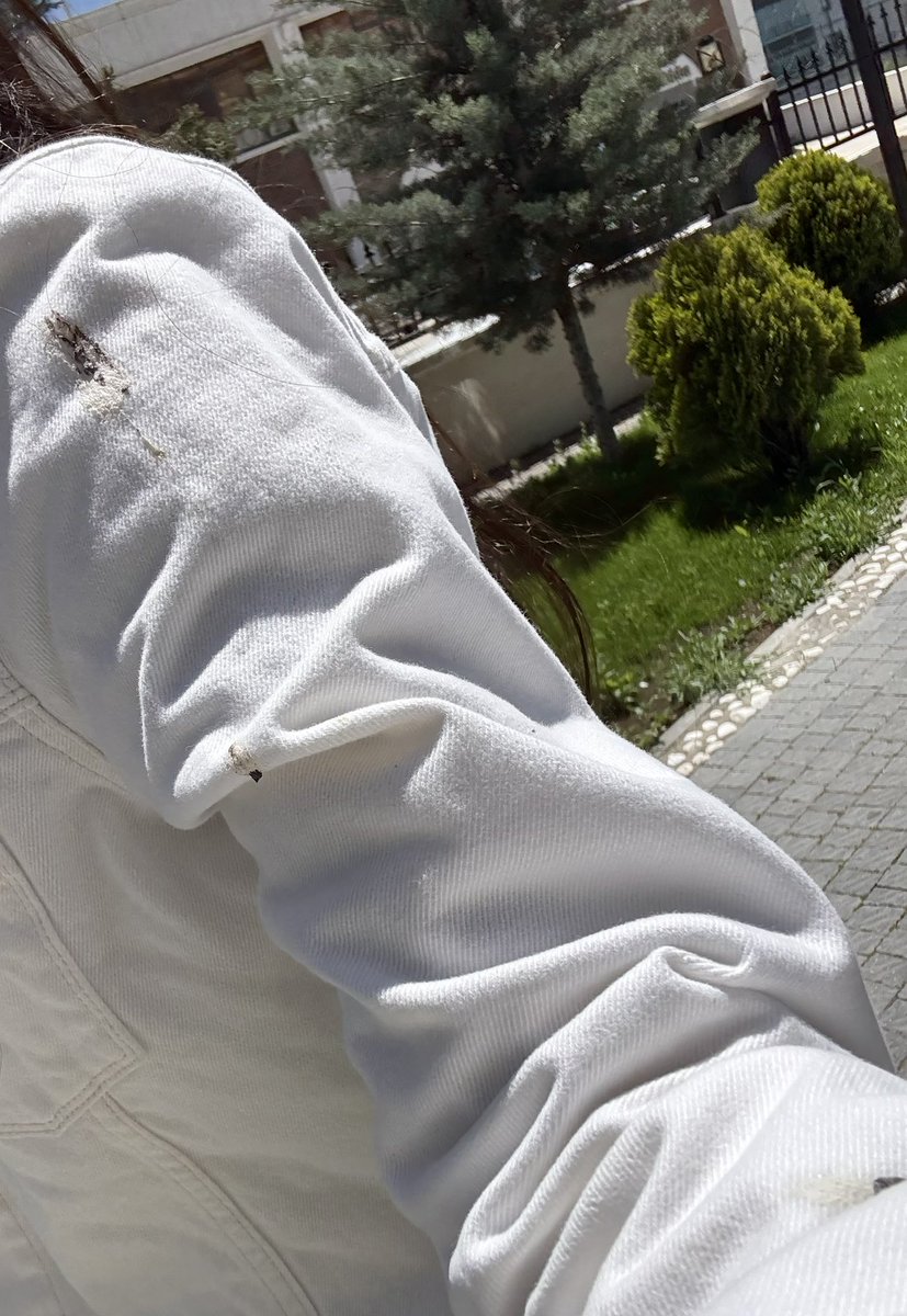 tenakuzoğulları tweet media
