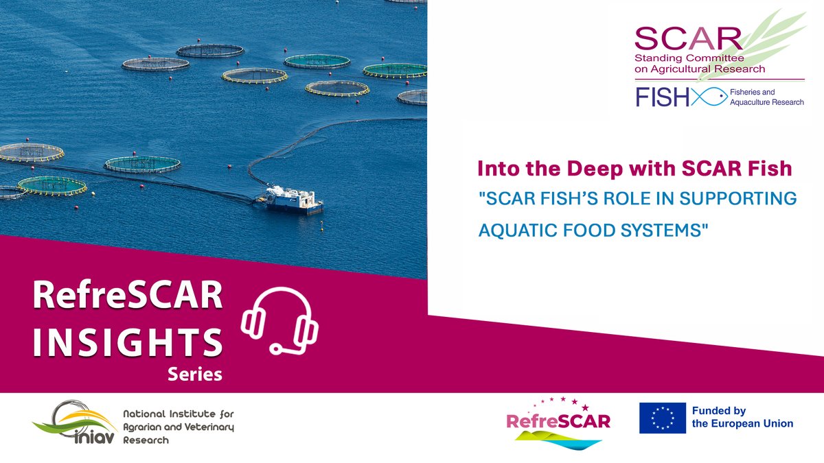RefreSCAR_'s tweet photo. 🐟 Missed SCAR Insights Webinar, 'Into the Deep with SCAR Fish'? The recording is now live!
Dive into the role of the SCAR FISH Working Group in supporting aquatic food systems in Europe 🌊
▶️ Watch now: https://t.co/liSgz6DbRZ https://t.co/0Fa7uT9Vjk
