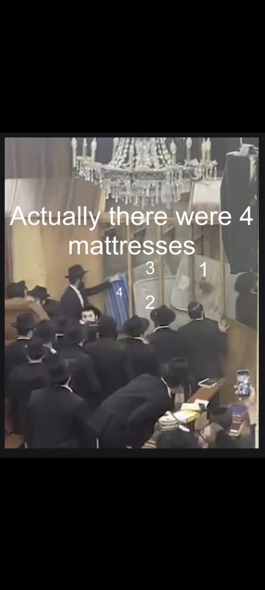Anthony Mitrushi tweet media