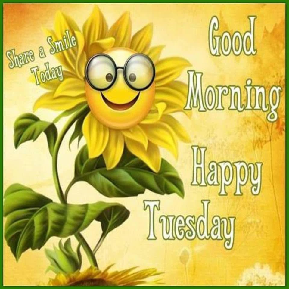 Helen Mackey 🦋🇨🇦🇨🇦🇨🇦 tweet media
