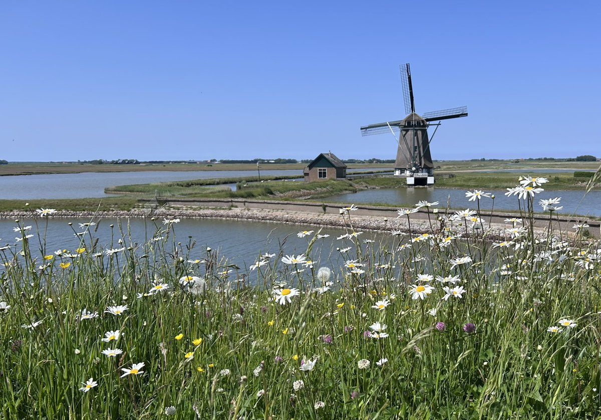 aajbrouwer's tweet photo. #dag26
#mei_nmooistefotos
#typischHollands
@AnitaPeeters https://t.co/ypJeP8bYYh