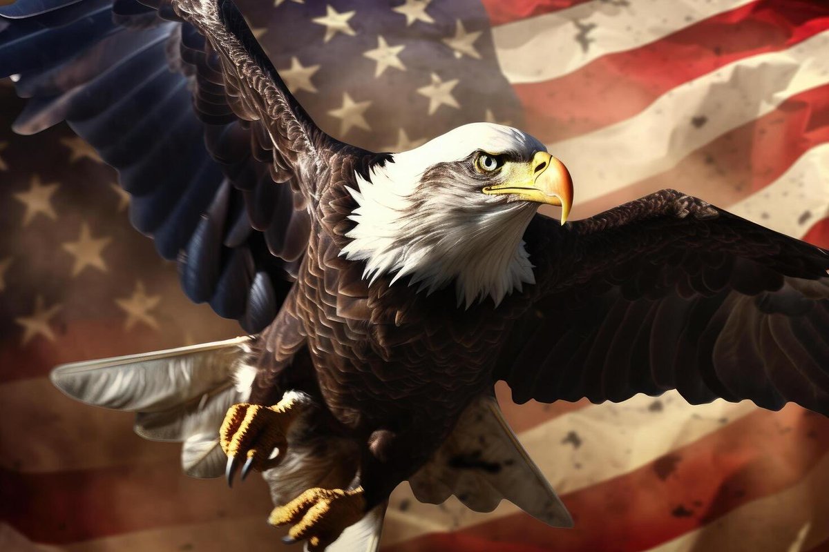 ☠️💥⚡️Gregg 🇺🇸⚓️🛥️2A 👊🏼🇺🇸 tweet media
