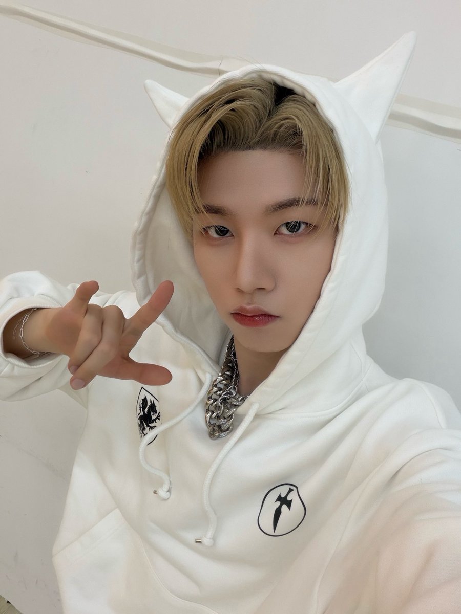 아펙토누나🦊 tweet media